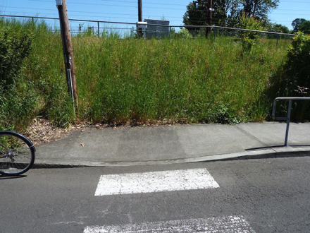 Option 1 - intended accessible path, curb cut across street